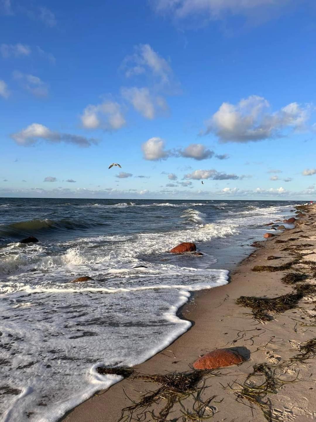 Fewo Unter Der Kuehlung Bastorf Exteriér fotografie